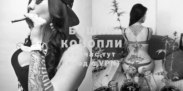 гашик Алексеевка