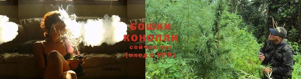 ешки Алзамай