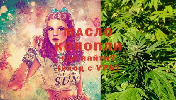 гашик Алексеевка