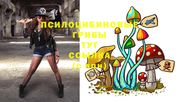 тгк Алексин