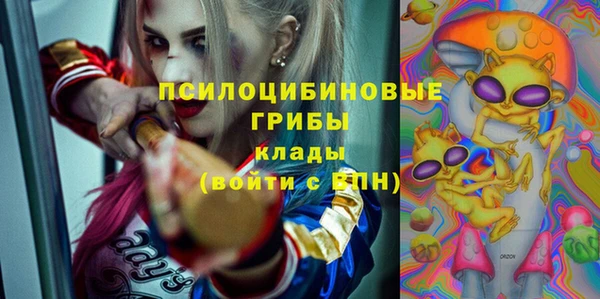 тгк Алексин
