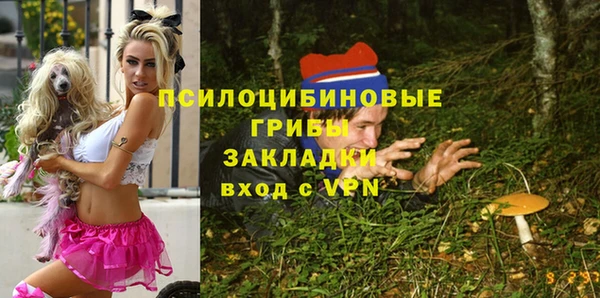 гашик Алексеевка